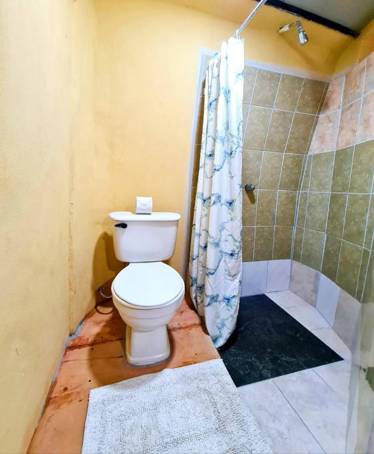 Hospedaje Combi Dream Bird Apartment Playas del Coco Ngoại thất bức ảnh