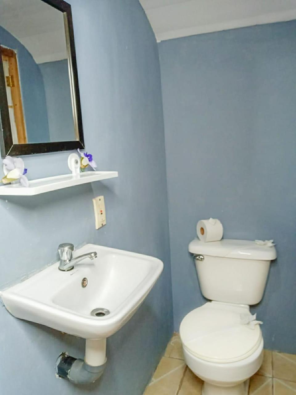 Hospedaje Combi Dream Bird Apartment Playas del Coco Ngoại thất bức ảnh