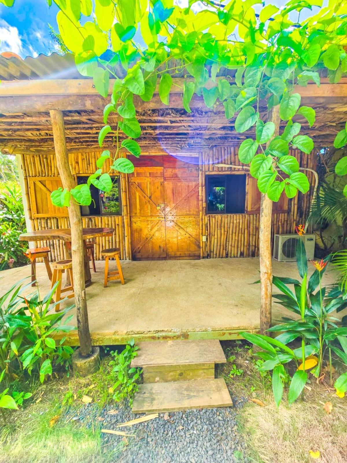 Hospedaje Combi Dream Bird Apartment Playas del Coco Ngoại thất bức ảnh